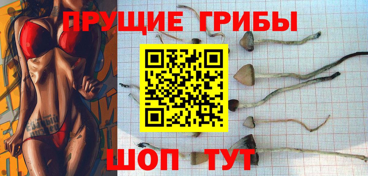 Кувандык  Псилоцибиновые грибы Psilocybe  Псилоцибиновые грибы мухоморы  Вход с VPN 